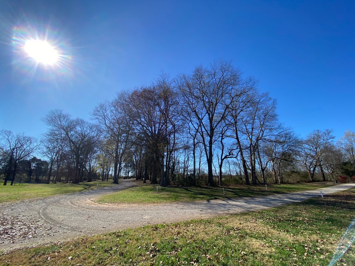 Hole 11, sharp dogleg right