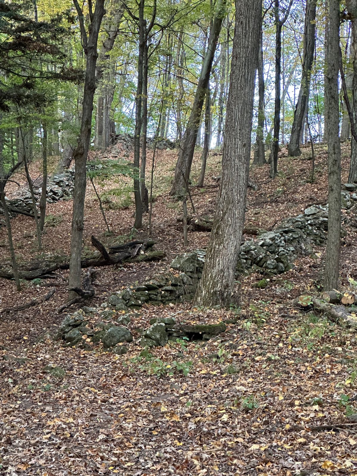 Hole 14