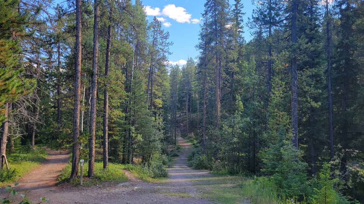 Hole 16 Fairway View