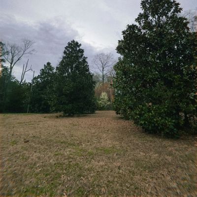 Hole 4 fairway magnolias