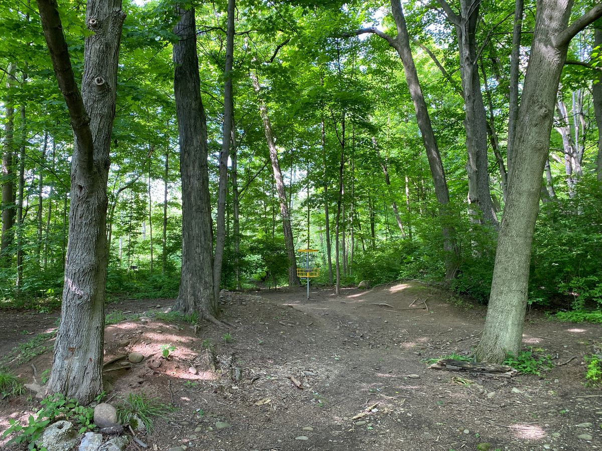 Hole 10 basket
