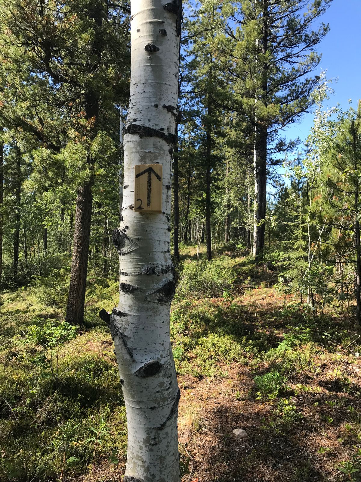 Path to 2