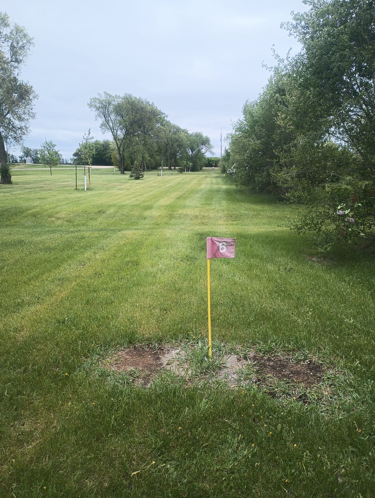 Tee on six with basket in the distance
