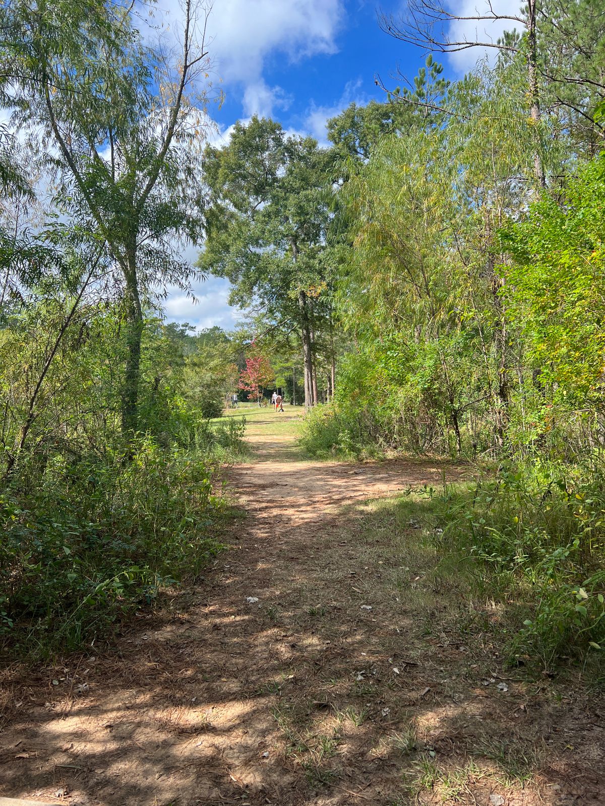 Hole 15. Water obstacle to the left.