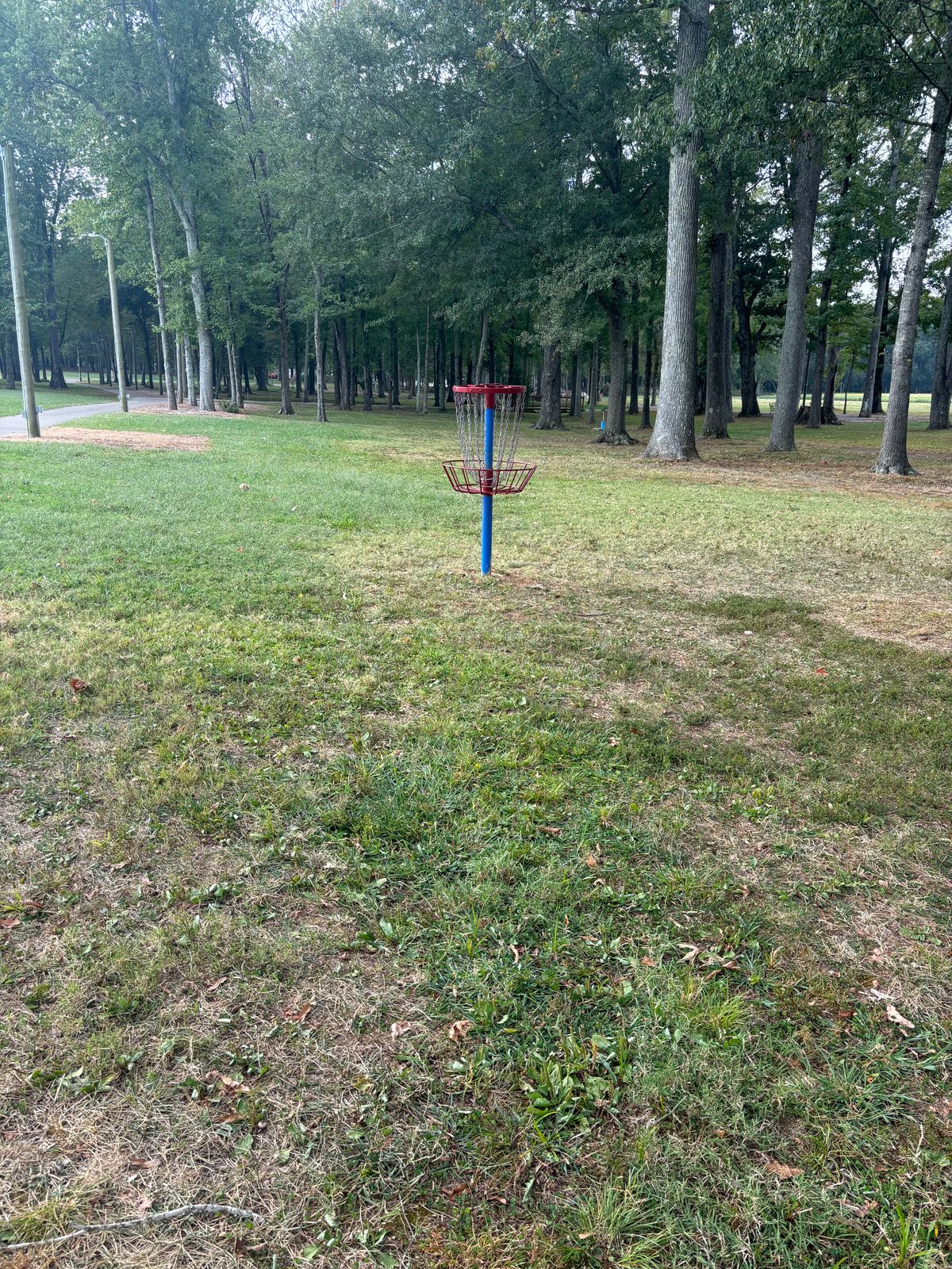 Hole 9 basket