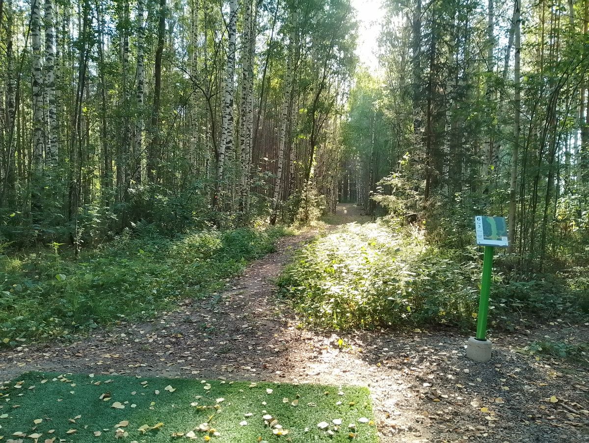 Hole #6.