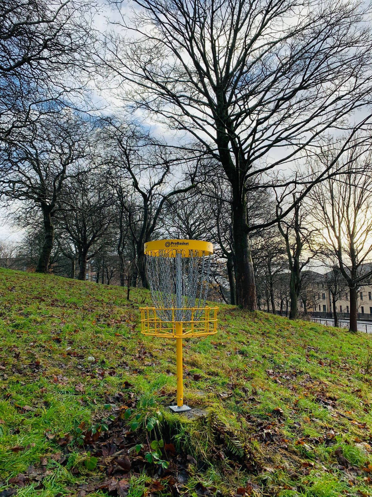 New Basket installed on the new Hole 4