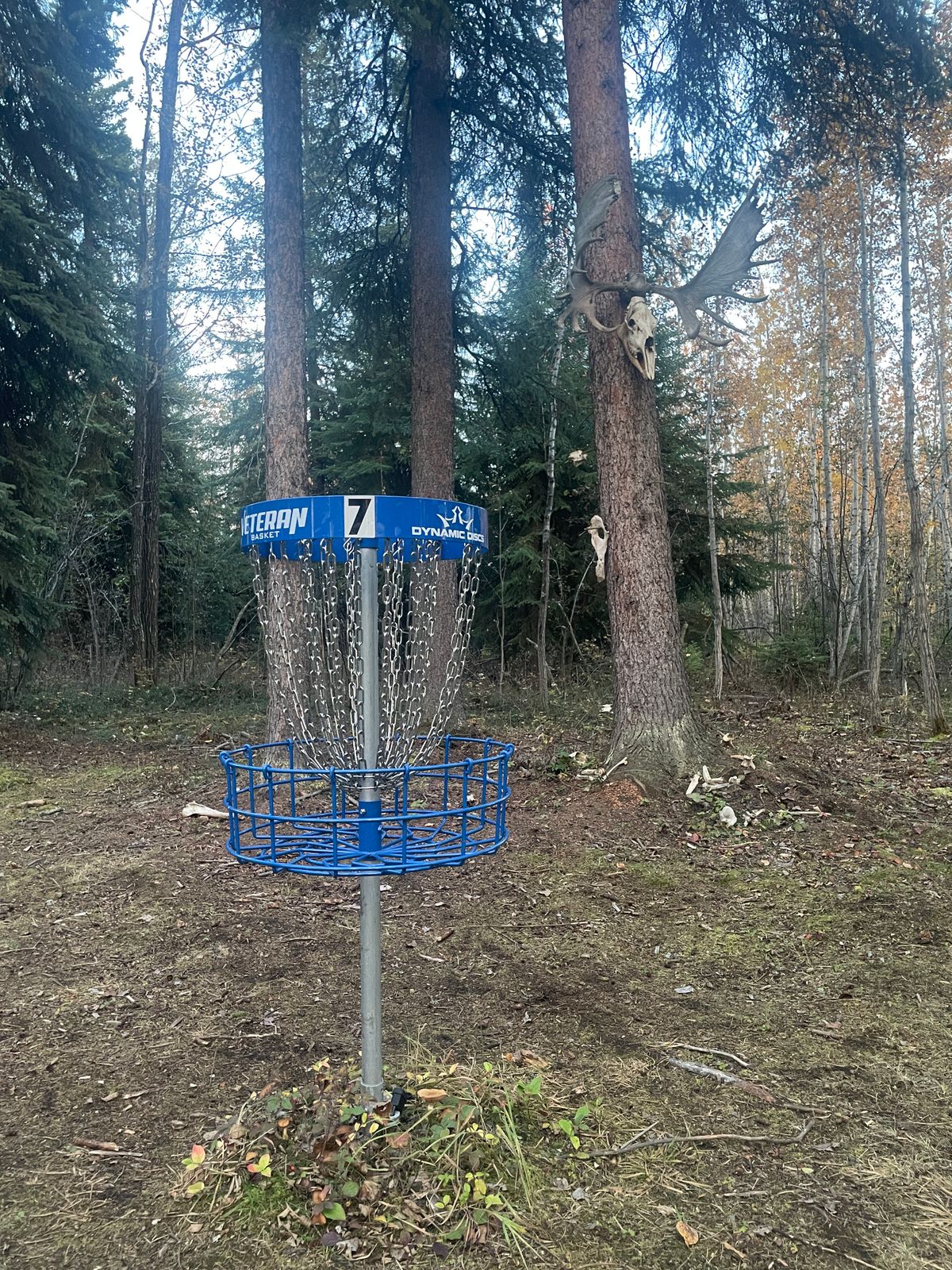 Watcher in the Woods on Hole 7