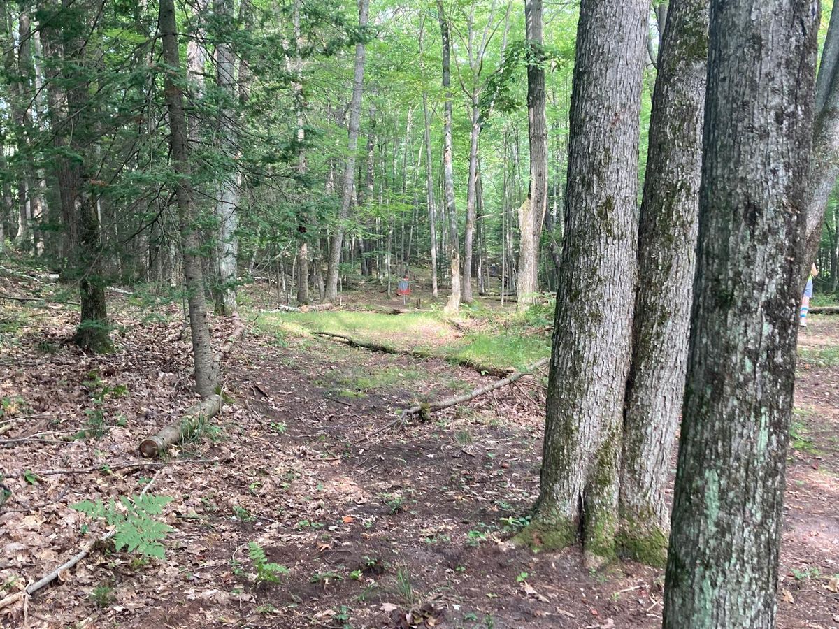 Shortcut to basket #6