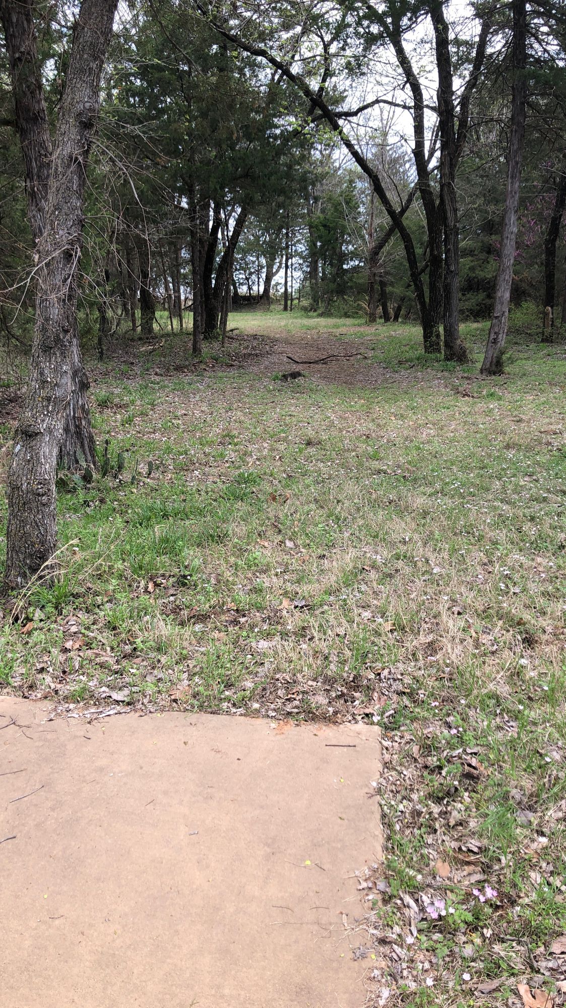 Hole #4 short 234’