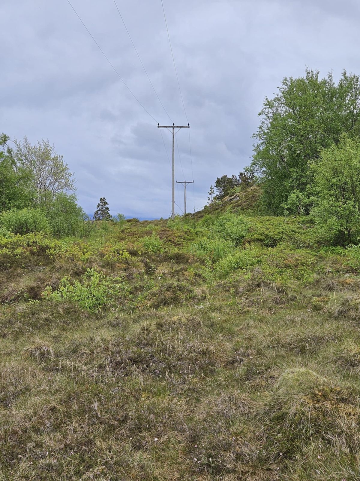 Her må du følge trasseen til kraftlinja. 
