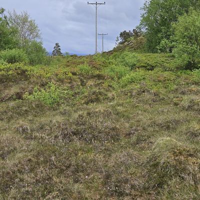 Her må du følge trasseen til kraftlinja. 
