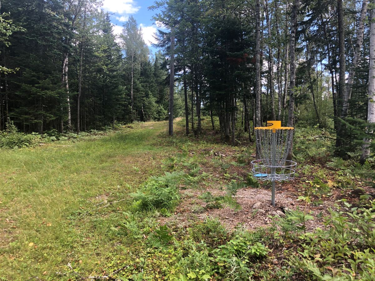 Hole #2 Basket