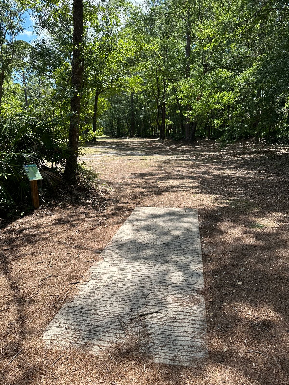 Hole 3 tee pad