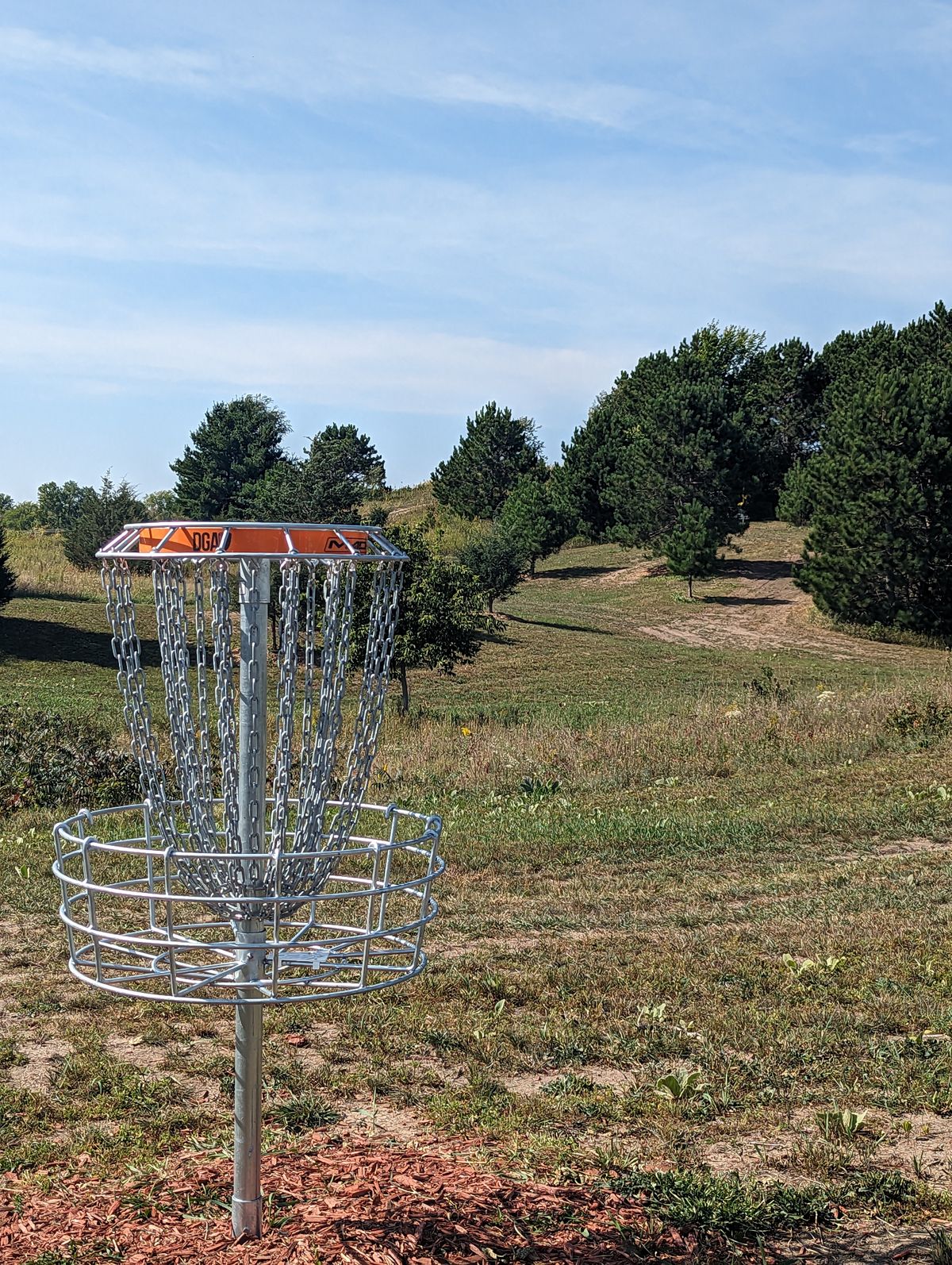 Short Basket