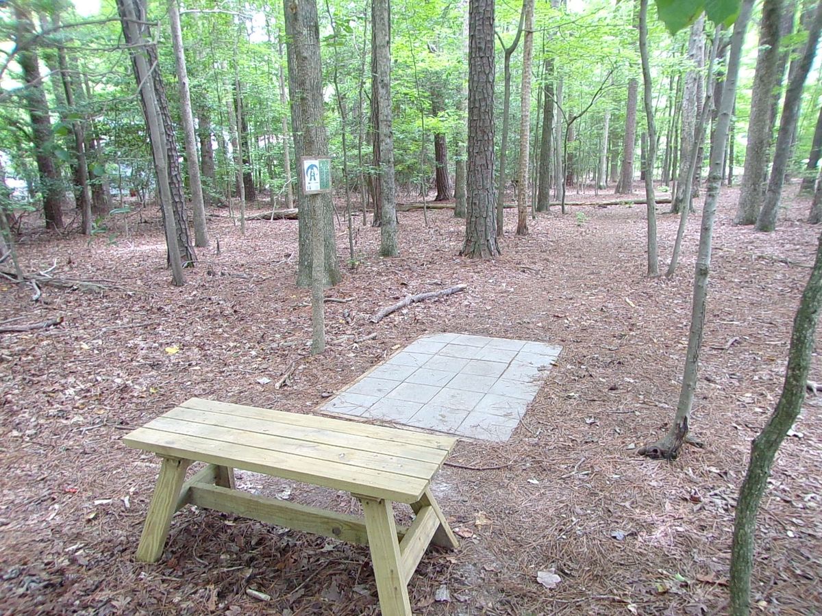 Tee pad and bench at hole 2.