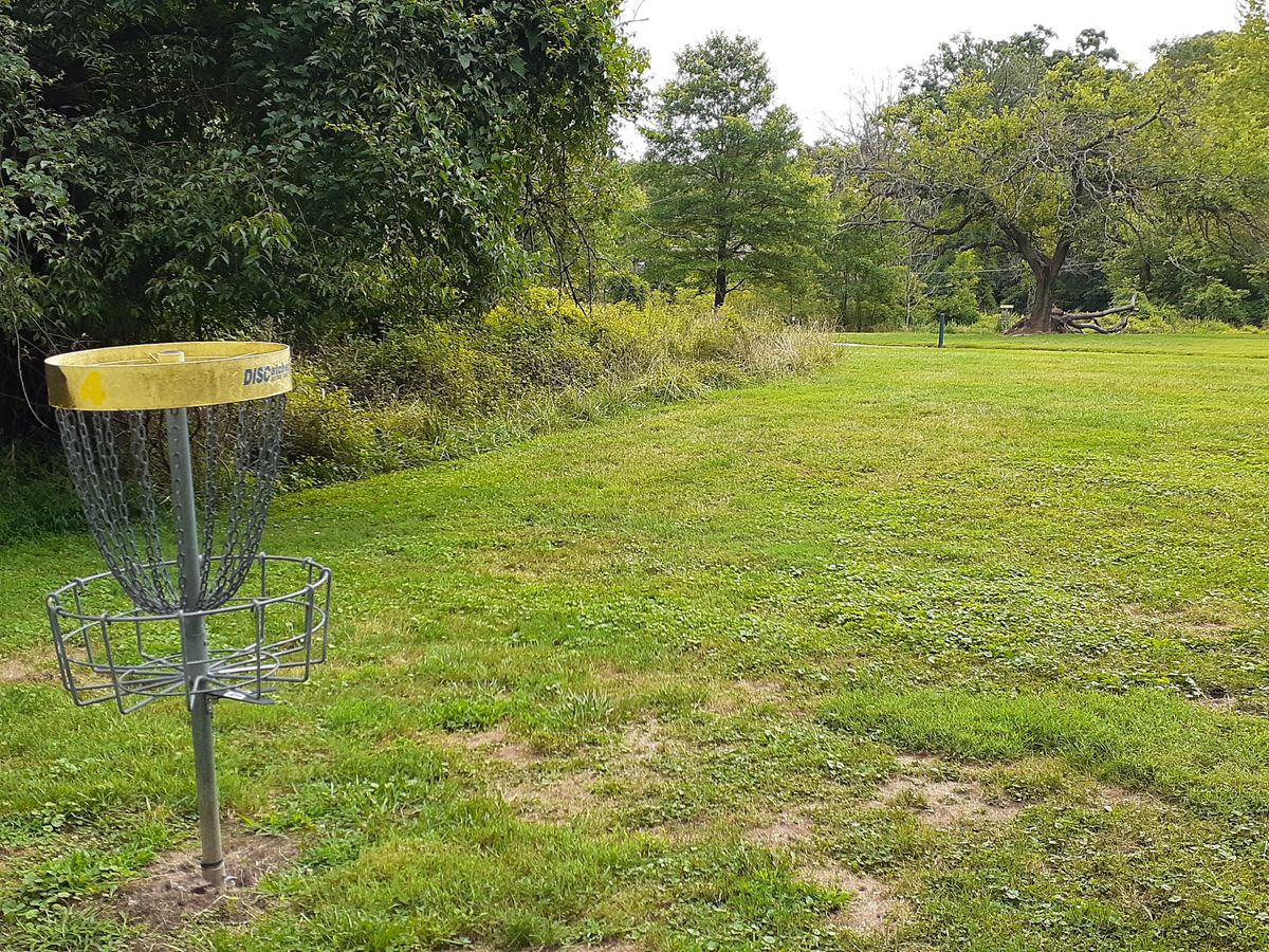 Hole 4 basket