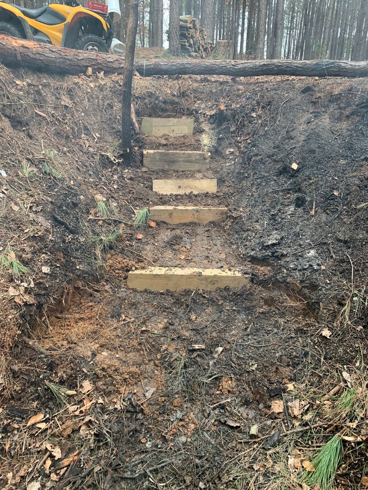 Stairs out of gullie