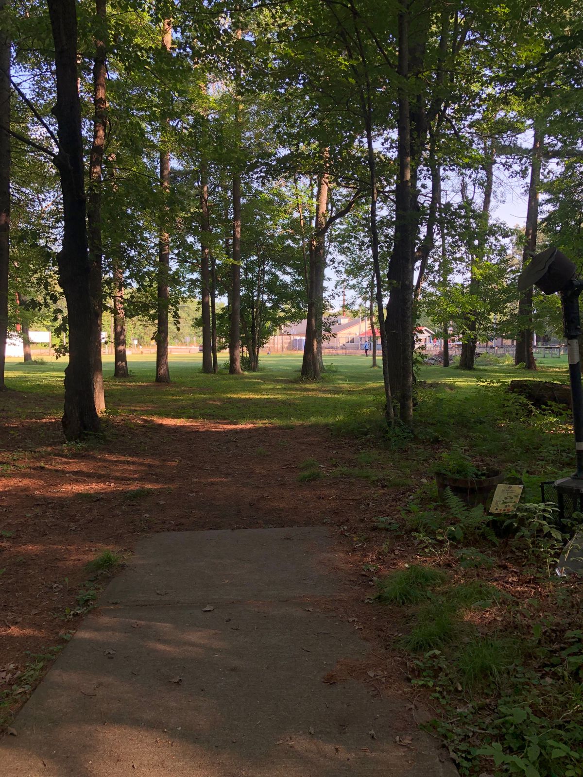 Hole 3 Tee
