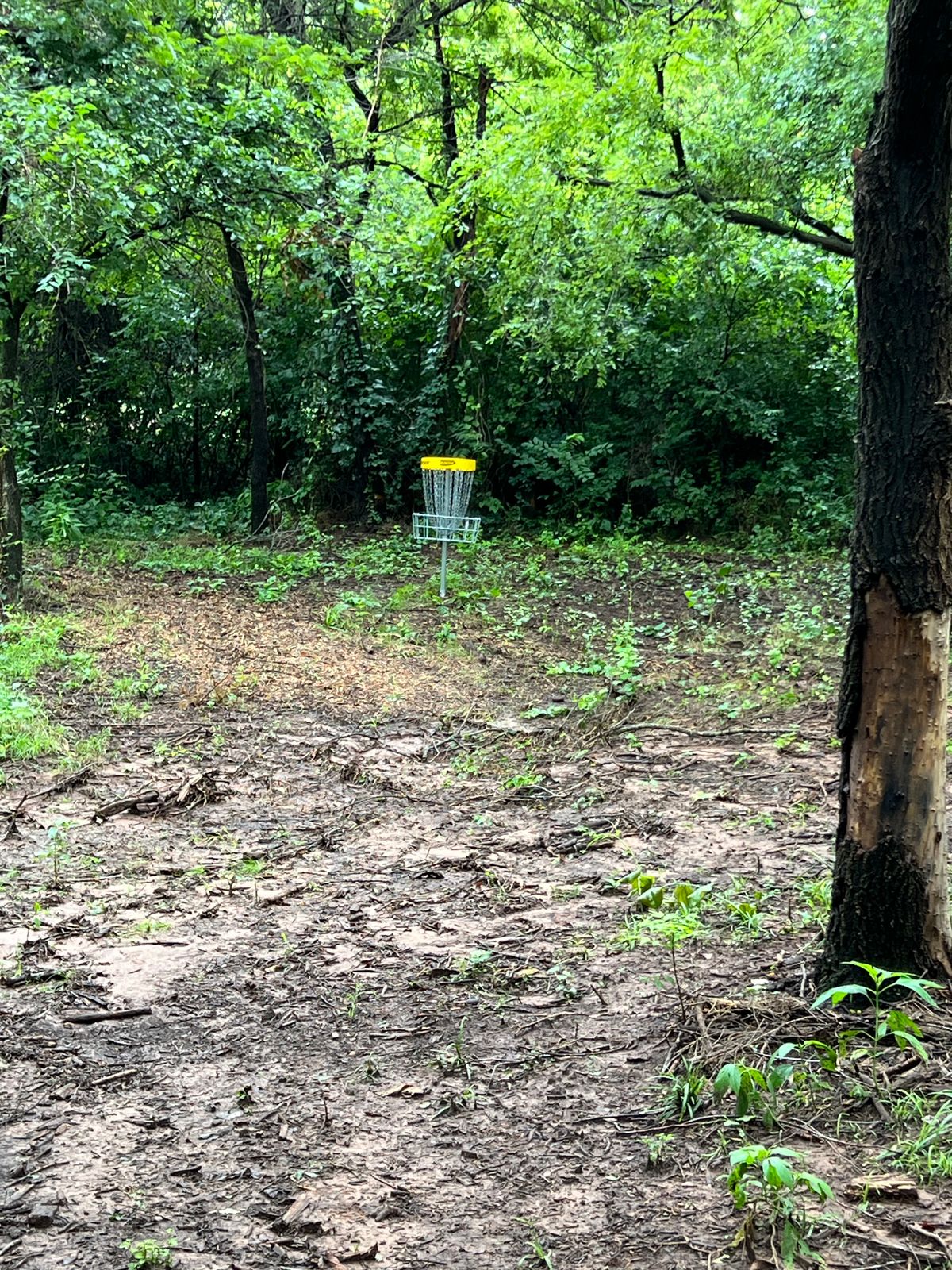 Hole 13 Pop Up Layout (Future Hole 14)