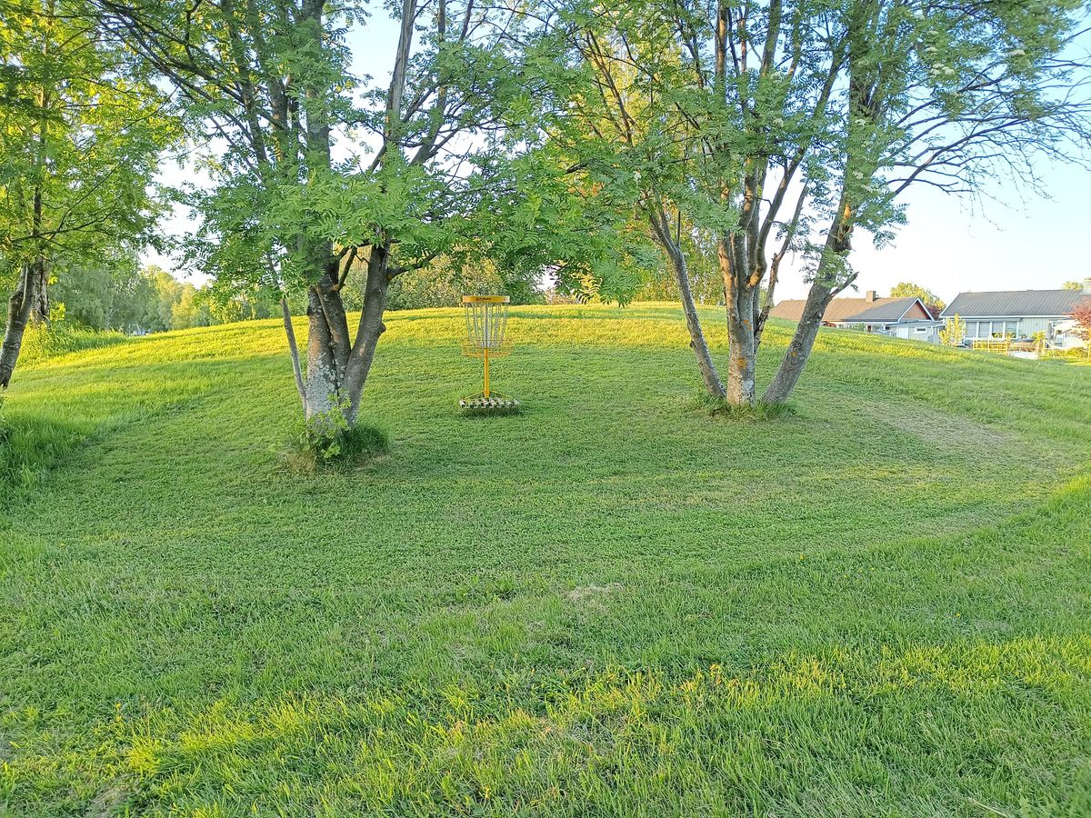 Hole 6 green