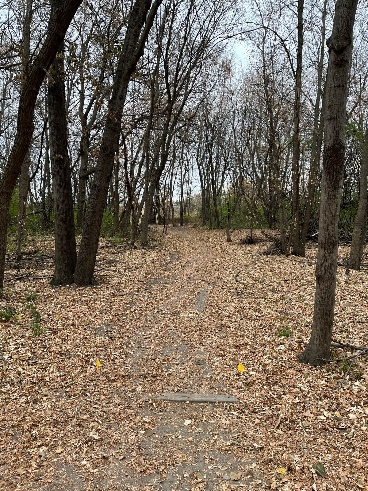 Hole 16 Teepad