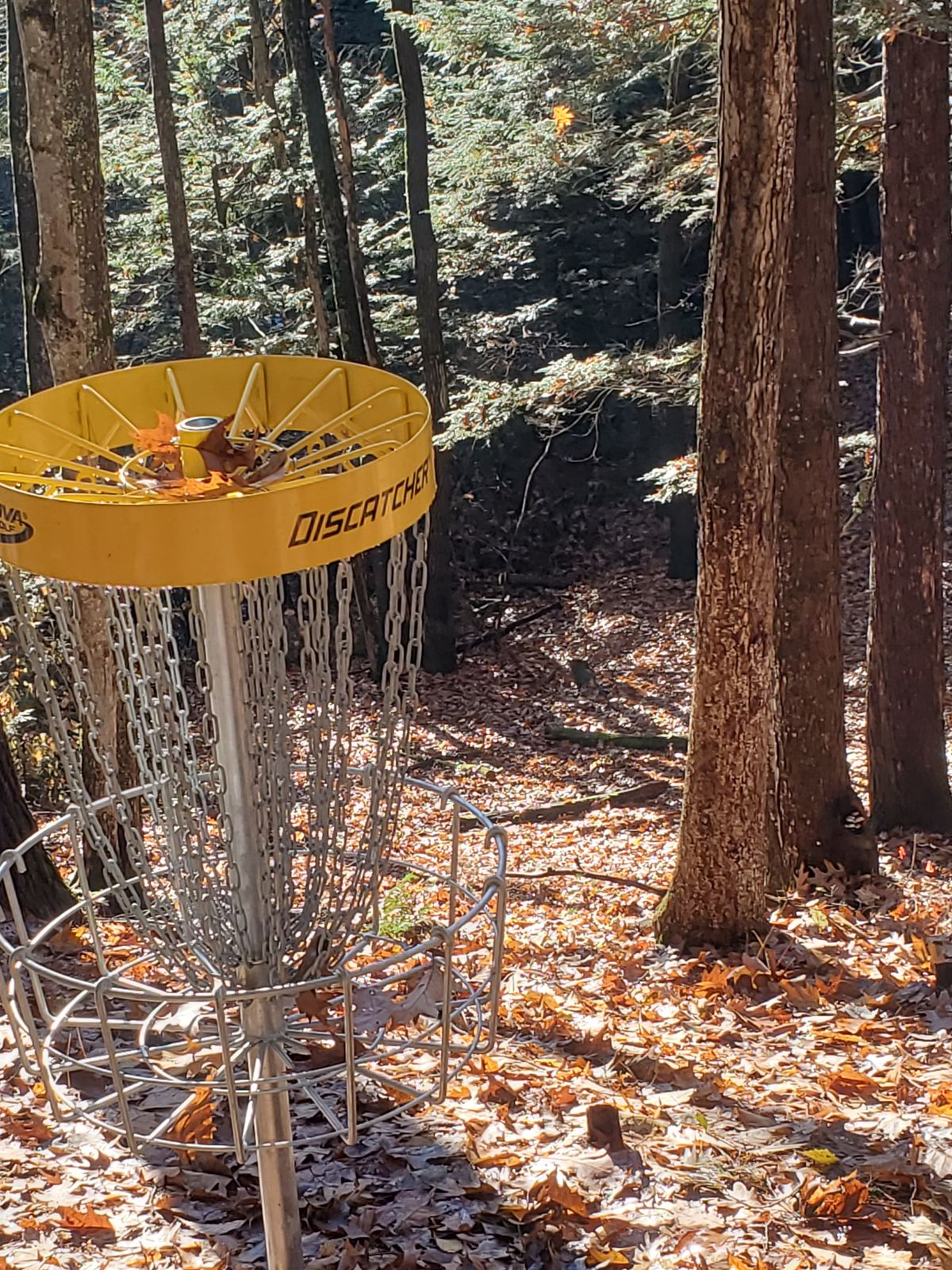 Hole 5