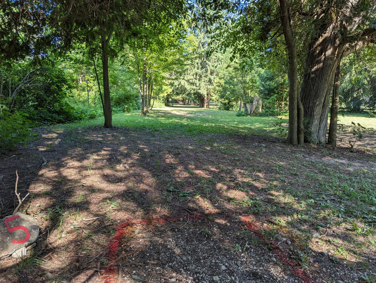 Hole 5 short