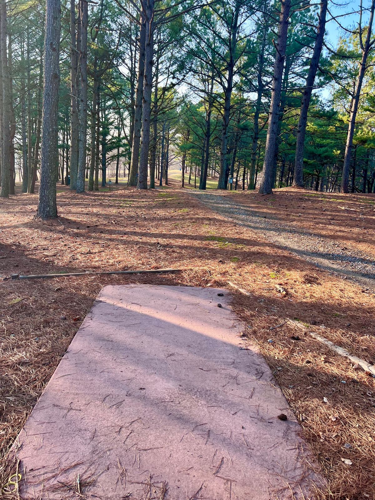 Hole 8 Gold Tee Pad/Fairway.