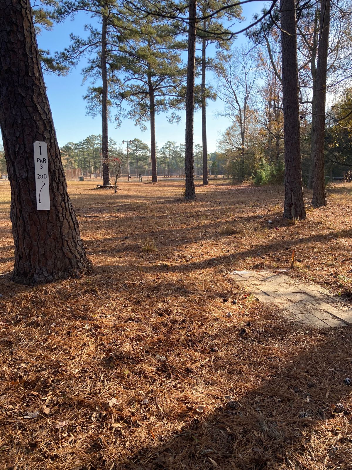 Hole 1, Tee Box, 280’ Dogleg Right.