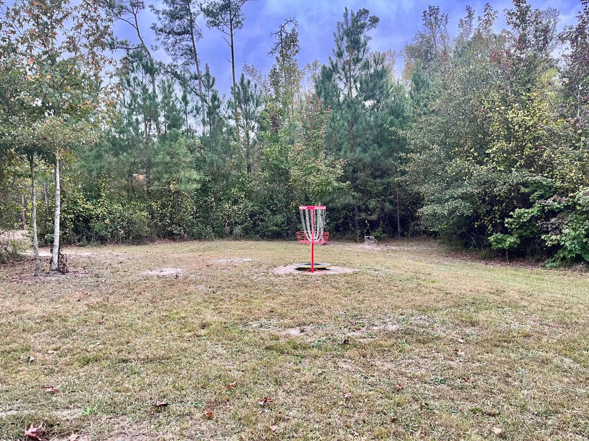 Hole 16 Basket