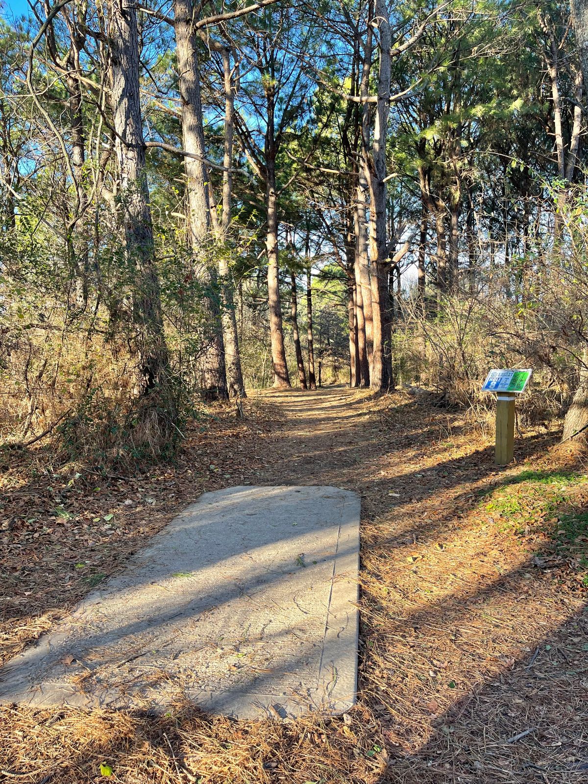 Hole 8 tee pad