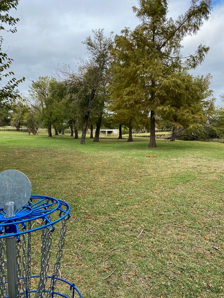 #9 green looking back to Tee