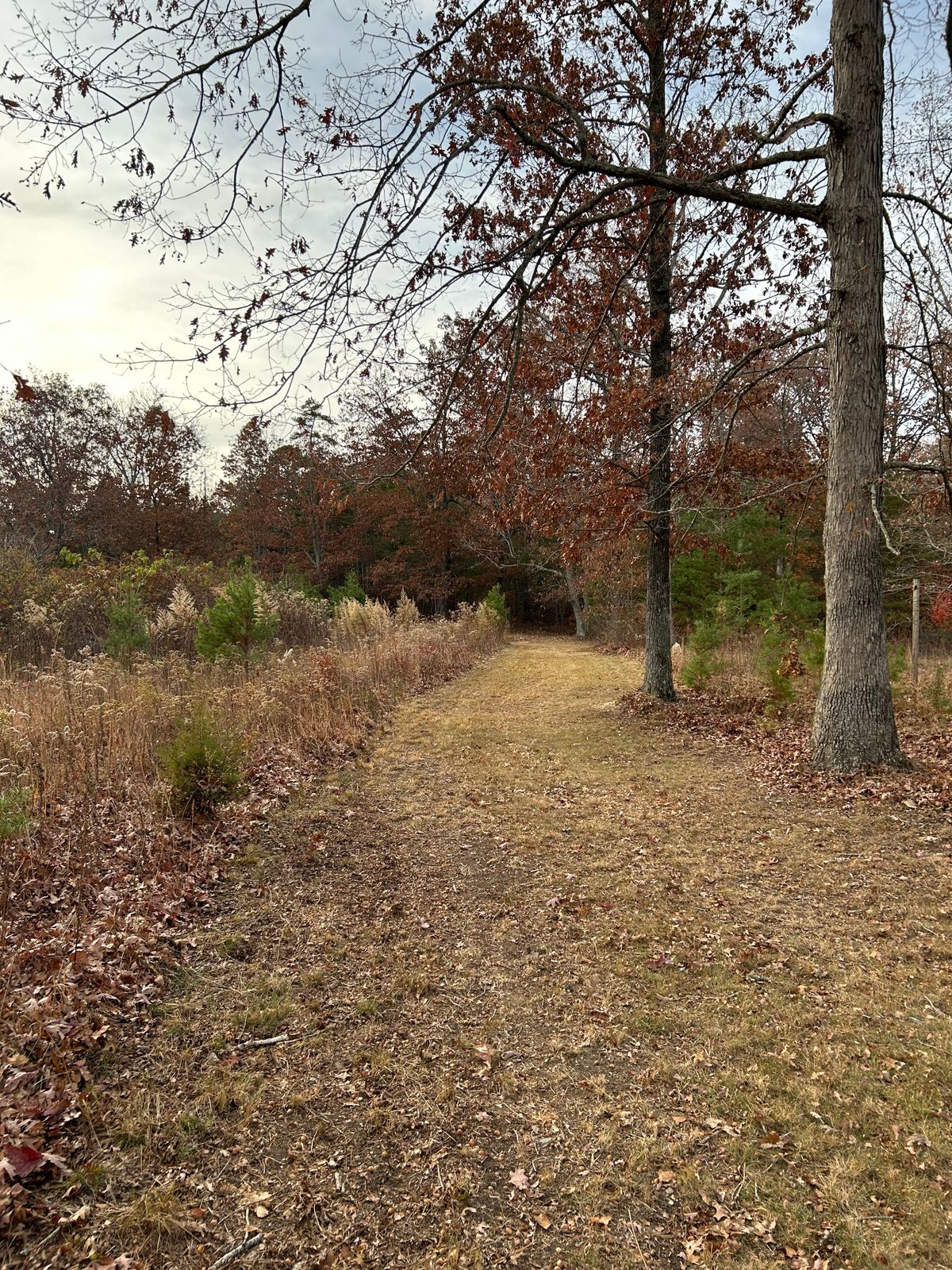 Hole 13 fairway