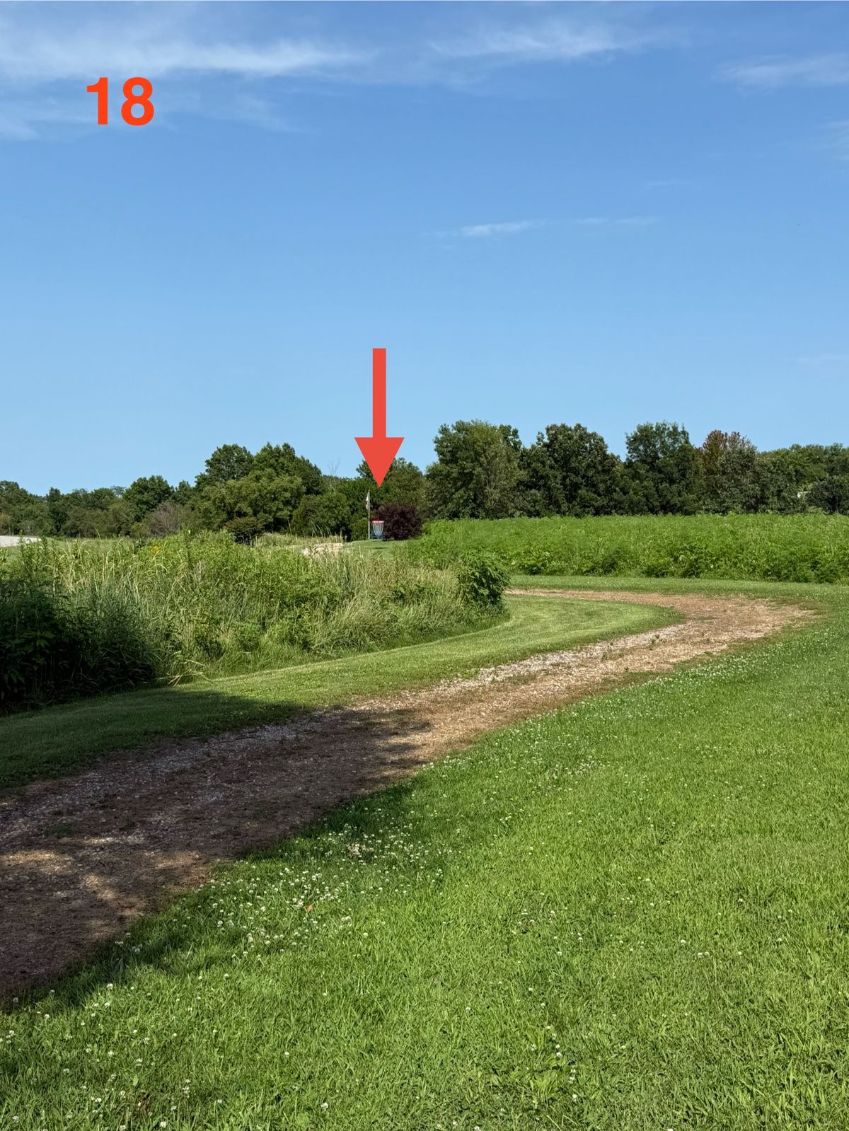 Open straight shot with small landing zone. Beware of tall grass right of basket.