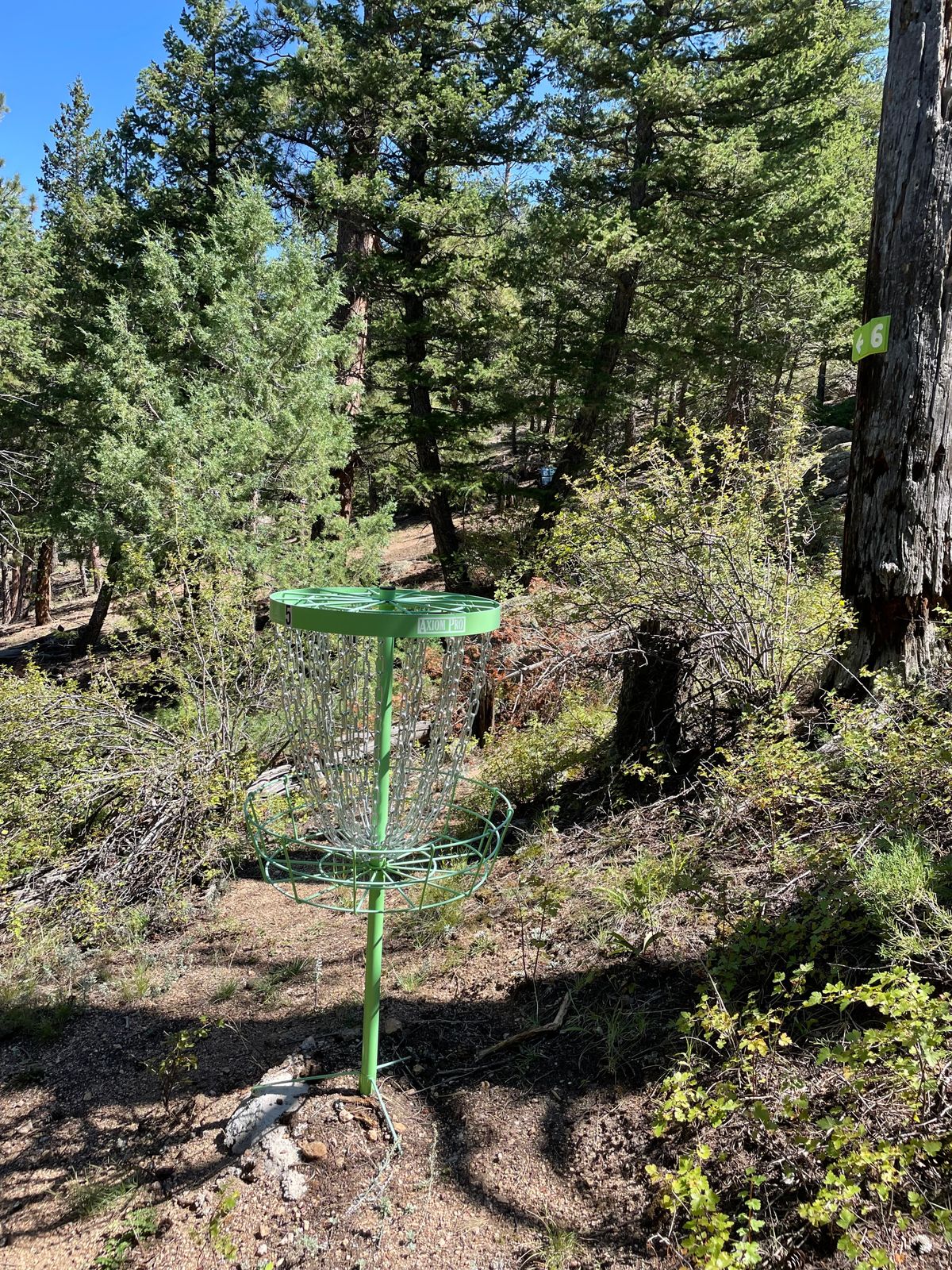 Hole 5 basket
