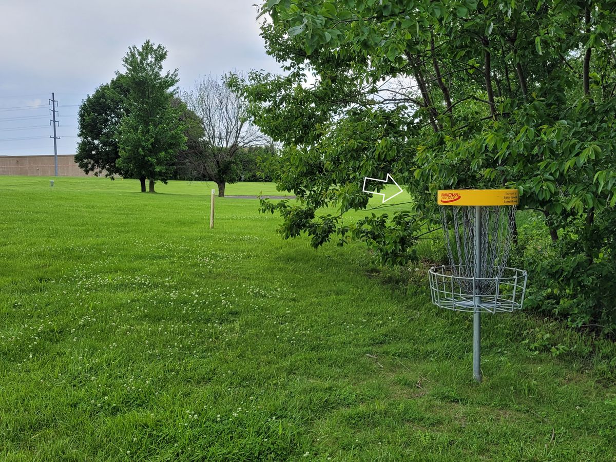 Hole 18 main basket to tee