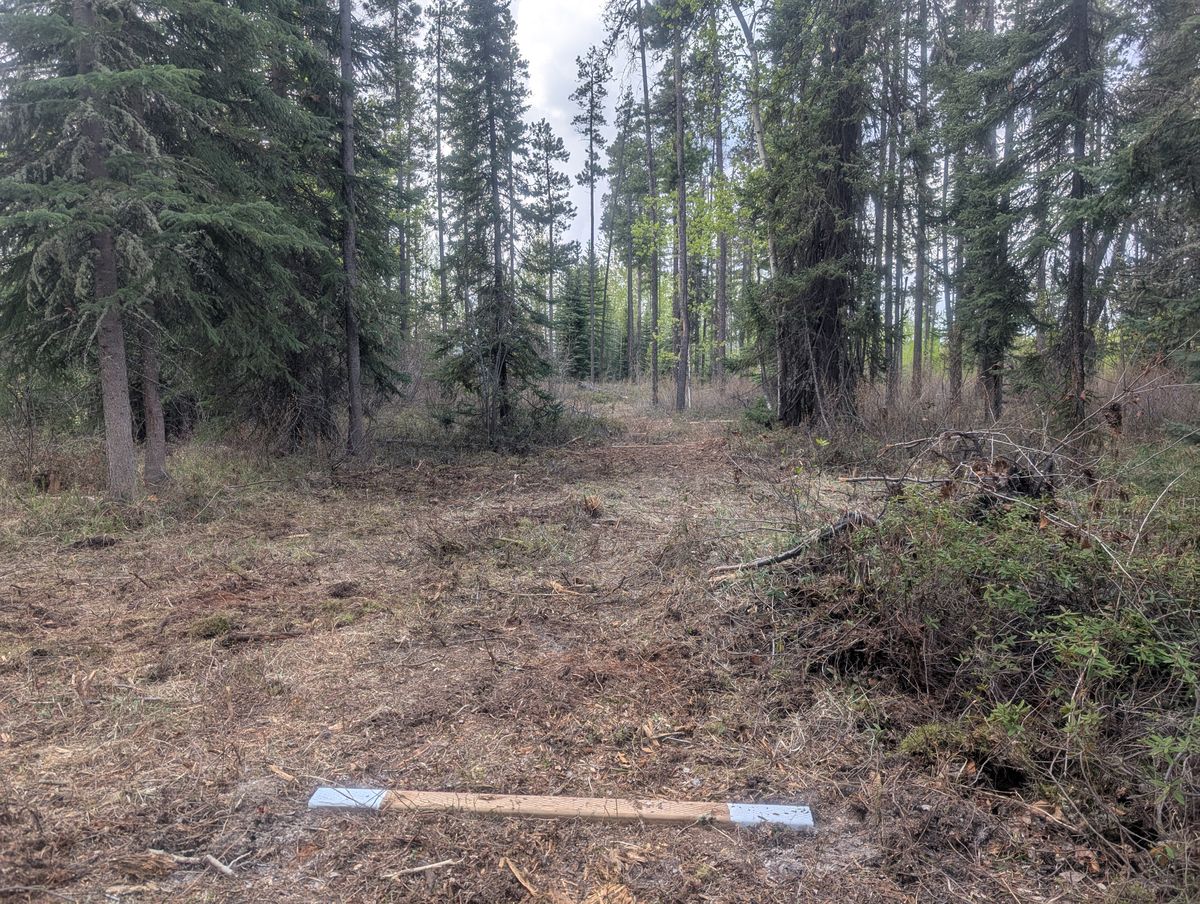 Wolverine Hole 8