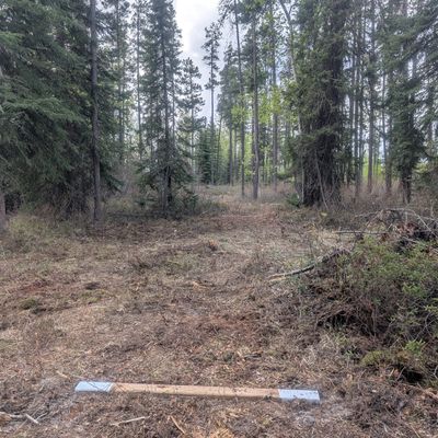 Wolverine Hole 8