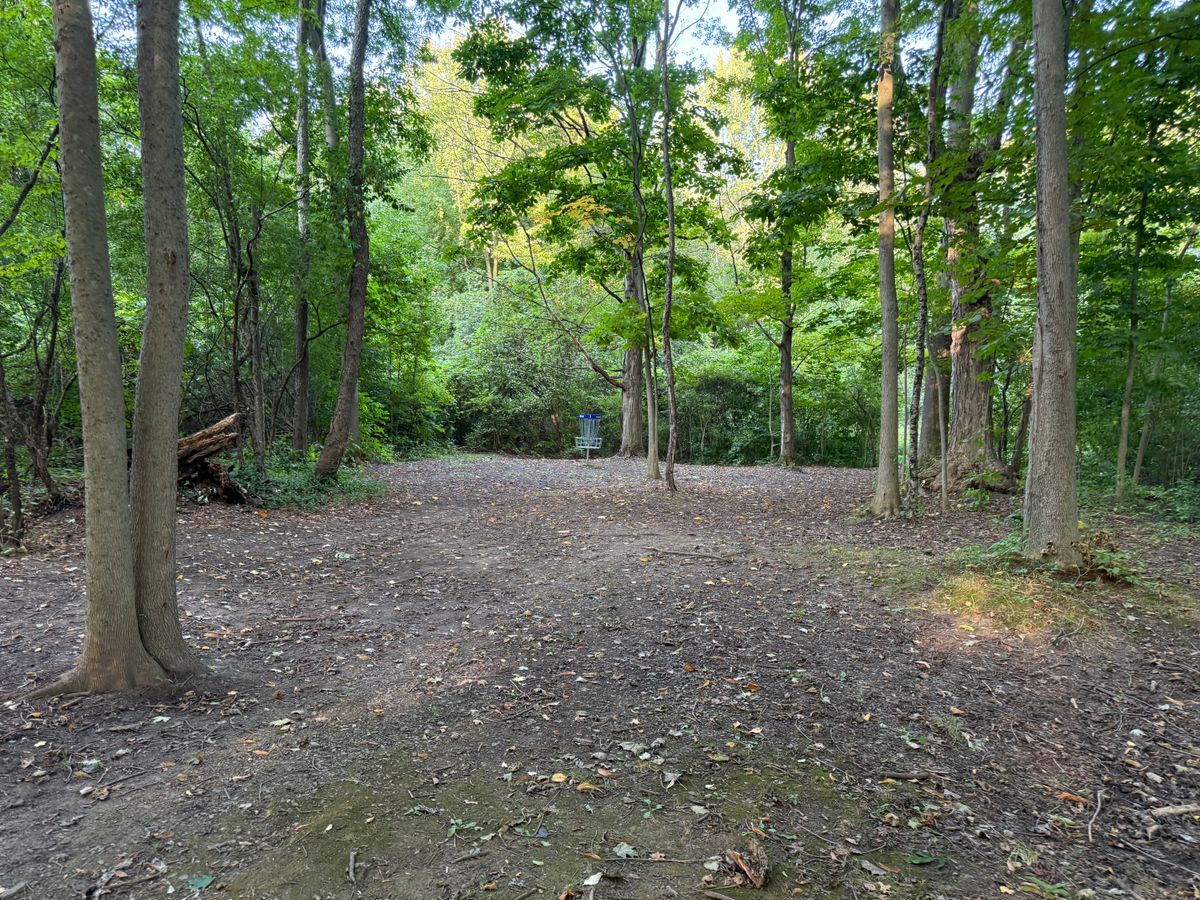 Hole 1 Green