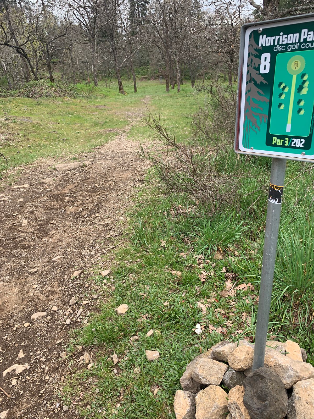 8th tee