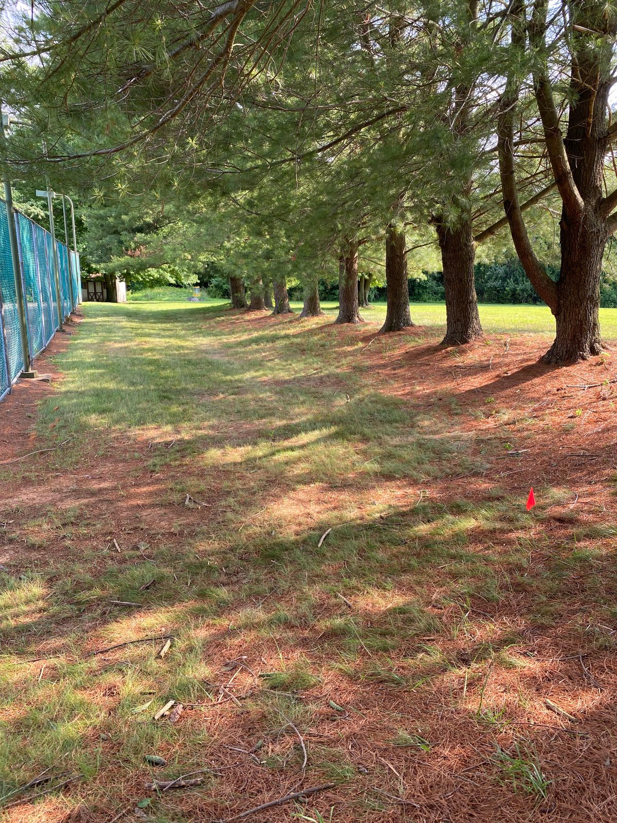 Hole 1 Tee