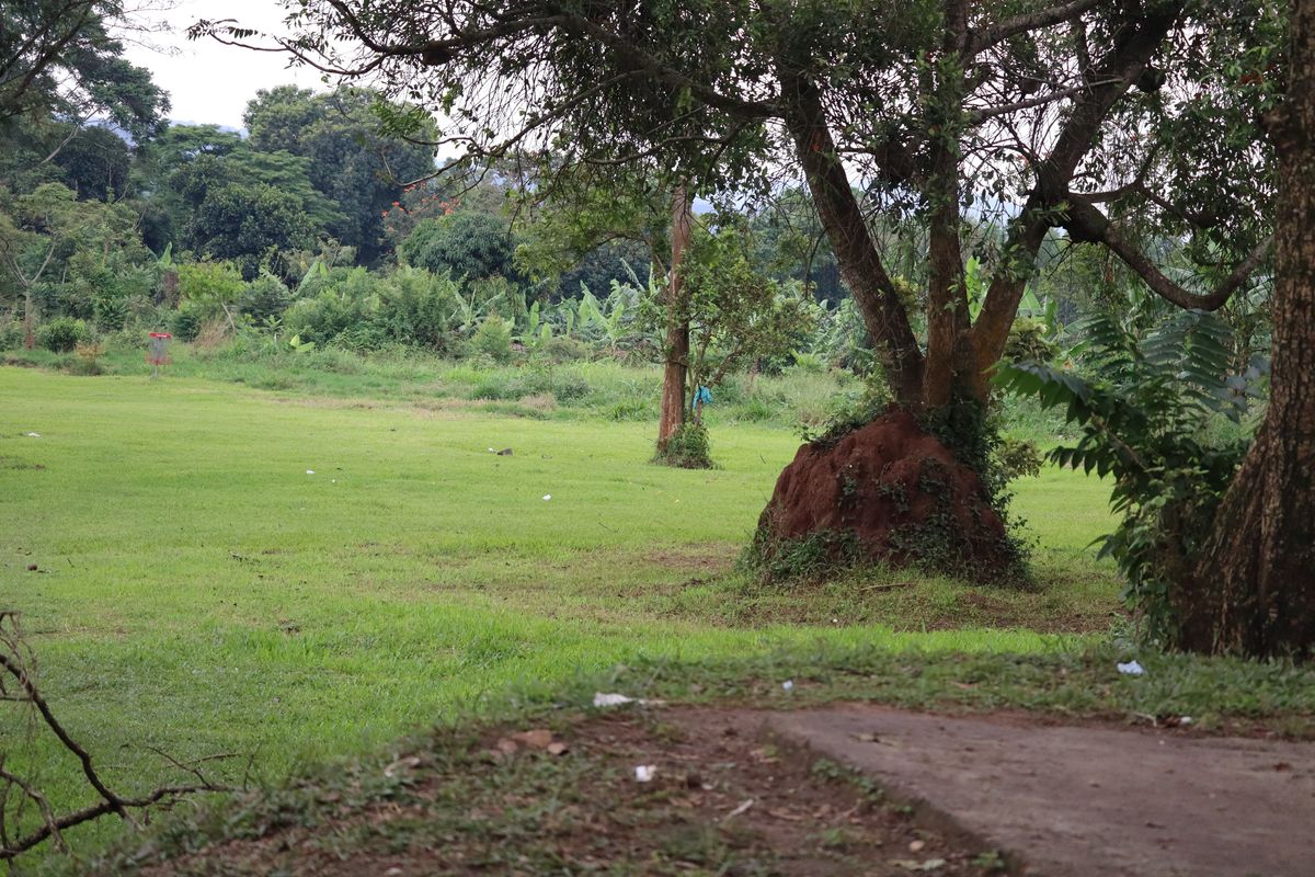 Hole 1 Long Tee