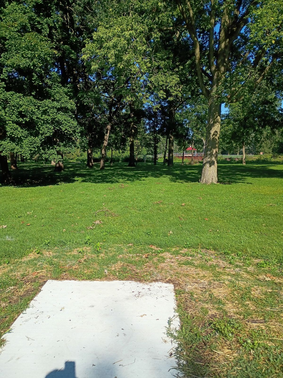 Tee 5