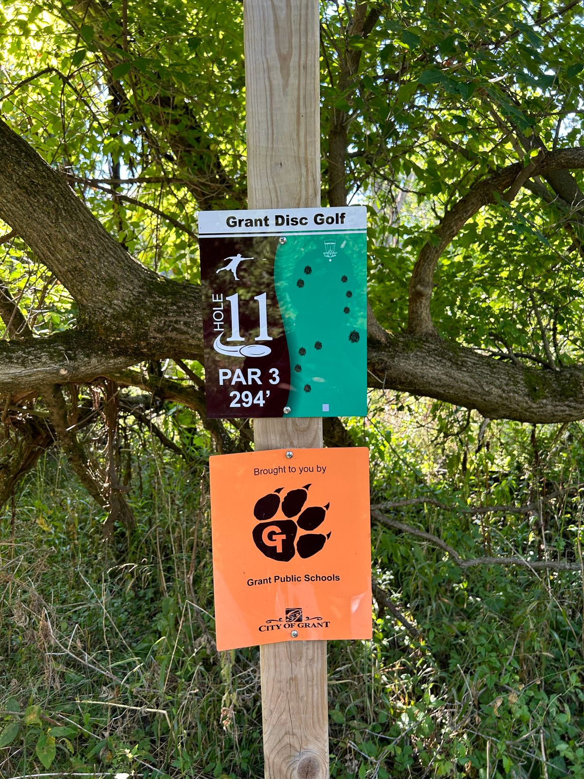 Hole 11