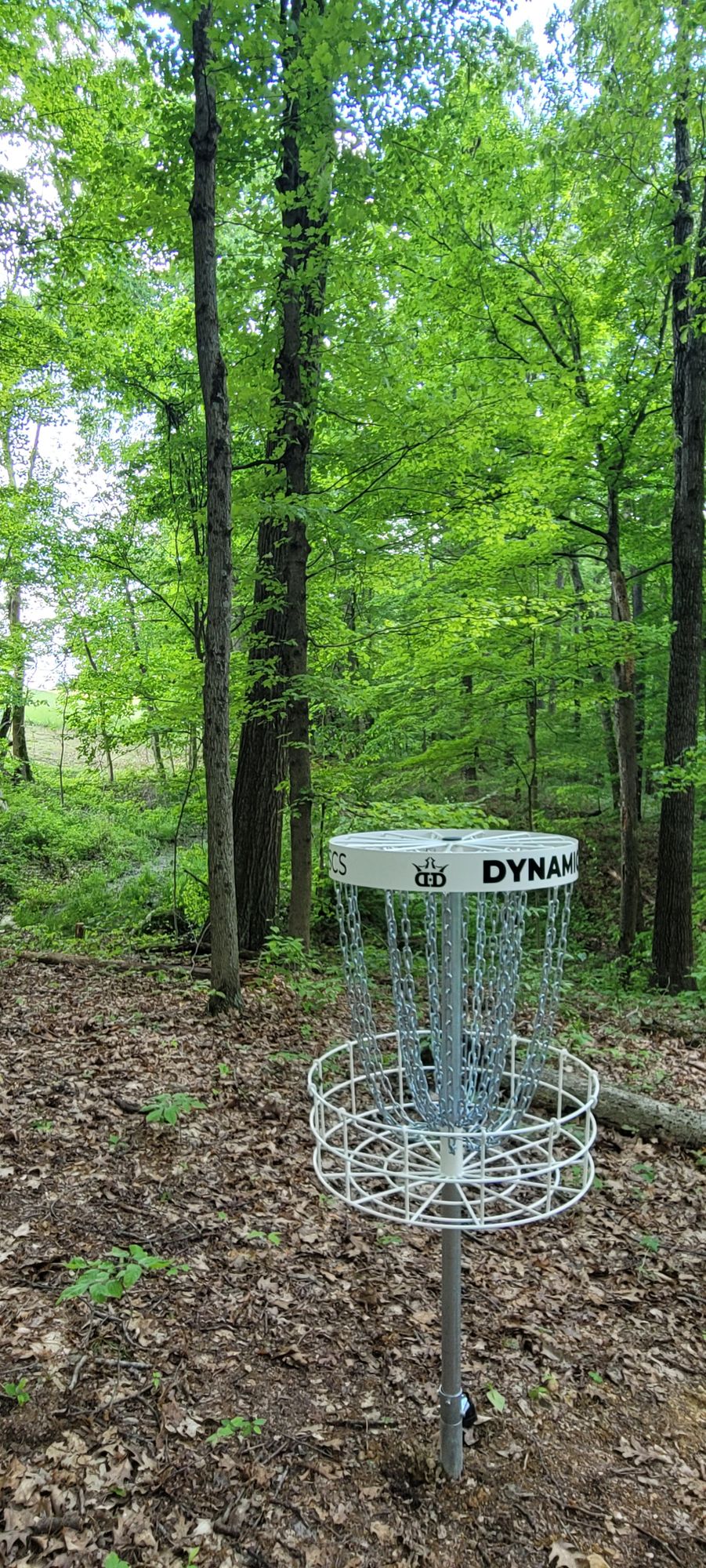 14 basket, reverse down fairway