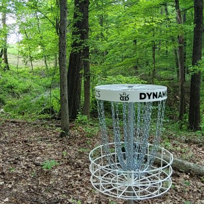 14 basket, reverse down fairway
