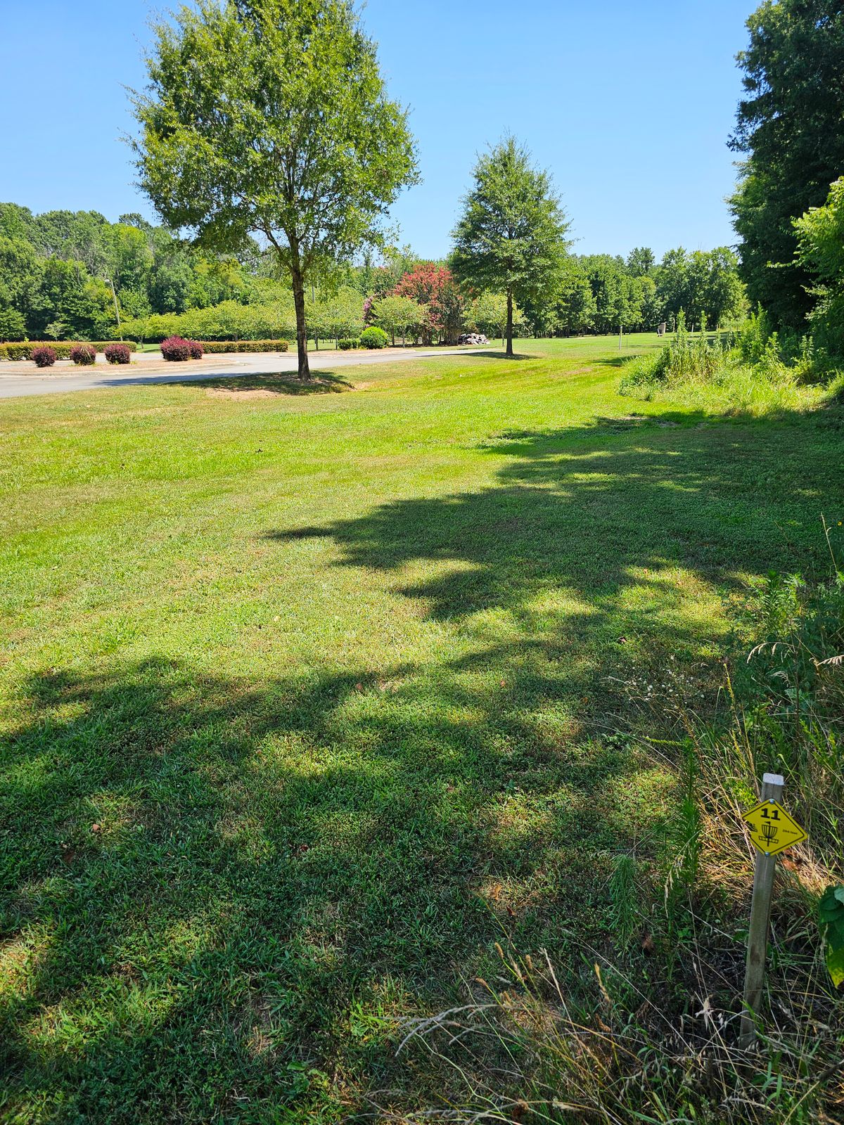 Hole 11 (plays to Hole 9's basket)