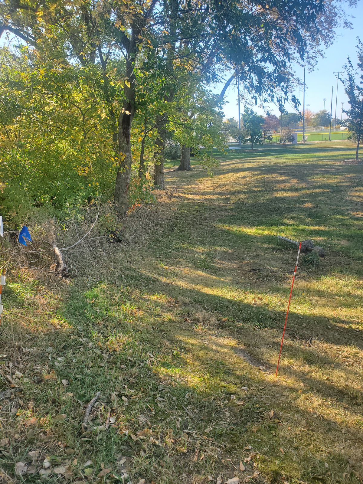Hole 6