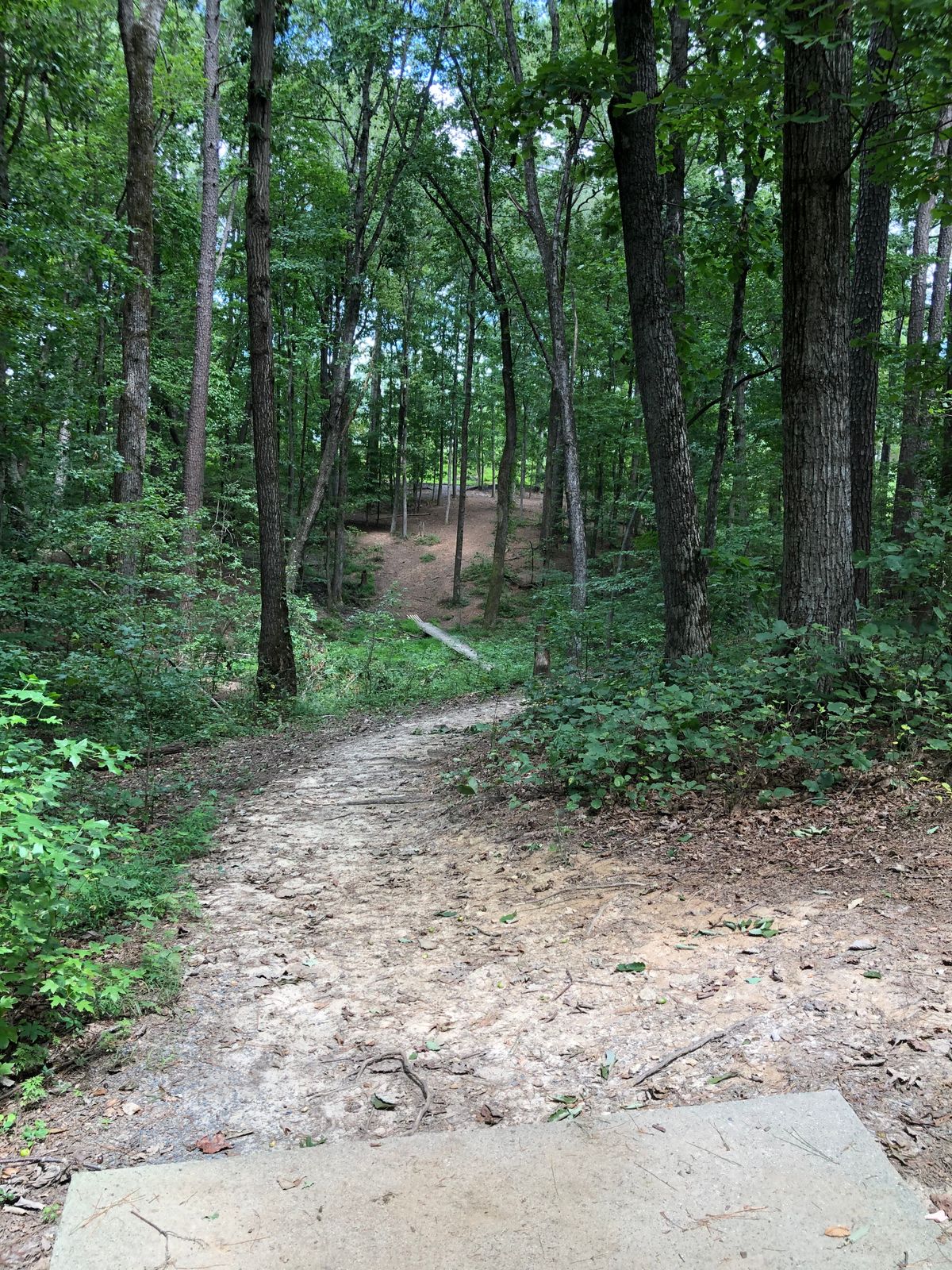 Hole 6 from long tee